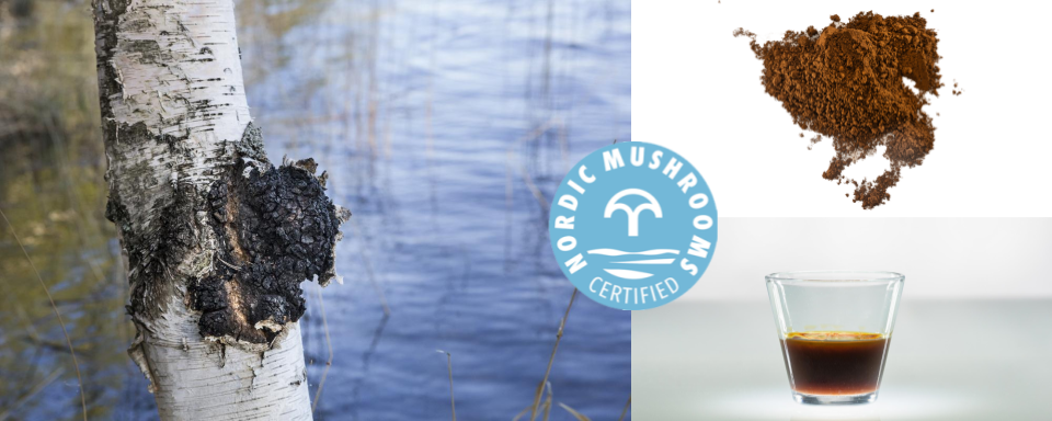 Nordic Mushrooms chaga